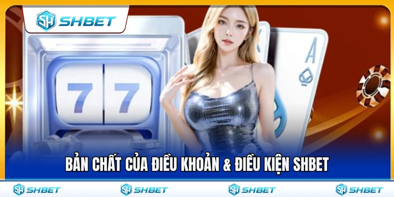 Điều khoản & điều kiện SHBET được xây dựng như thế nào? 