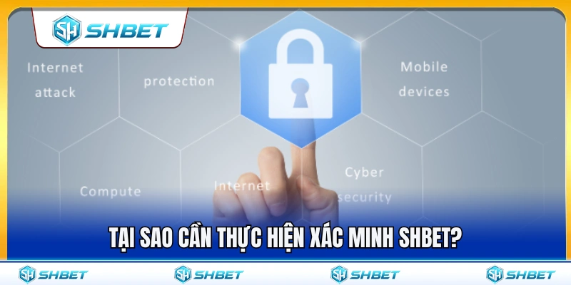 Xác Minh SHBET – Khi Nào Cần Kiểm Tra Thông Tin Tài Khoản? 2 Vai trò của việc xác thực thông tin trên nền tảng SH BET